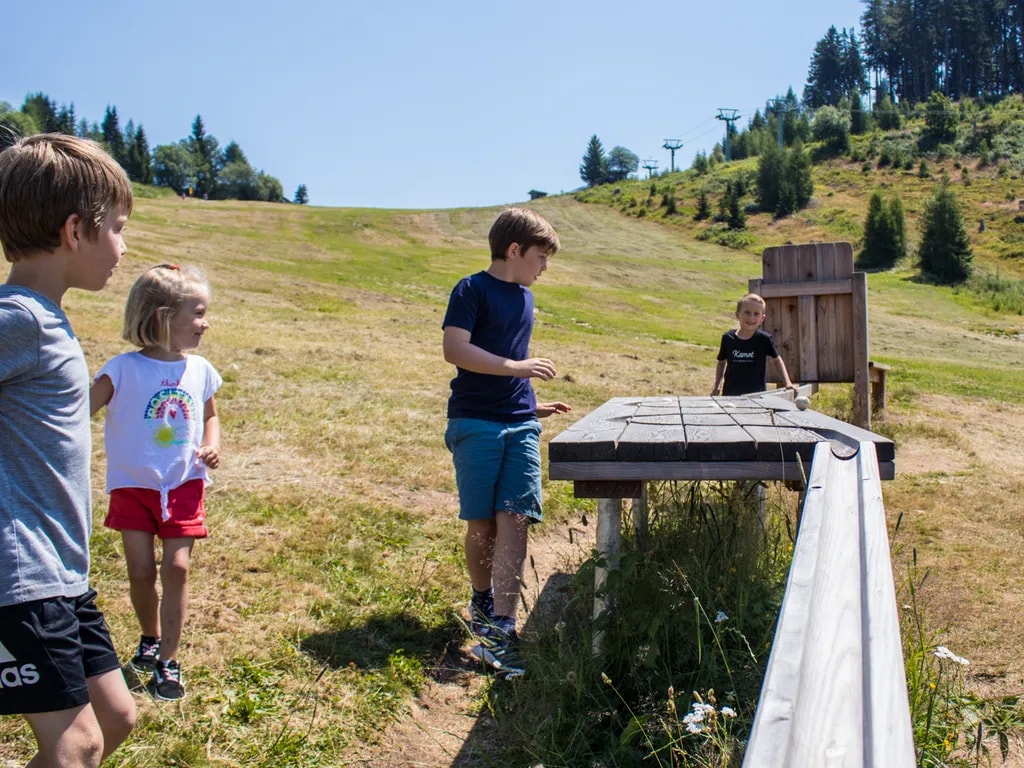 Holzkugelbahn auf der Gerlitzen Alpe
